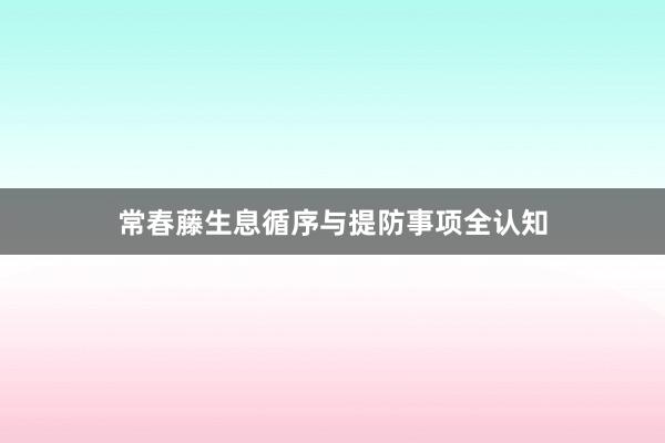 常春藤生息循序与提防事项全认知