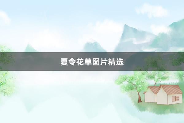 夏令花草图片精选
